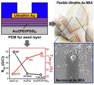 ▲ 투명 초박막 금속 신경 전극 개발 개념도.ⓒDGIST