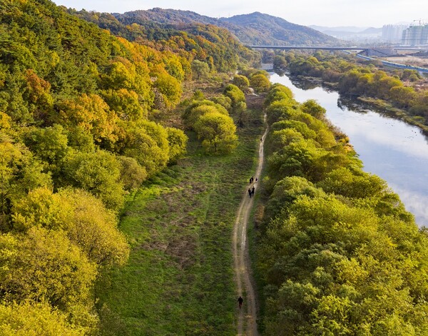 ▲ 대전시는 지역 내 생태 우수지역 7개소를 선정하고 유튜브에 홍보영상을 공개했다. 사진은 월평공원 갑천 습지 모습.ⓒ대전시