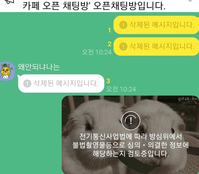 ▲ 카카오톡 단체채팅방에서 한 이용자가 '토끼 동영상'을 올리자 