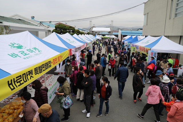 ▲ 지난해에 이어 2년째 운영 중인 바로마켓 경상북도점이 코로나19에도 불구하고 연매출 27억원을 달성하며 지역 대표 농산물 직거래장터로 자리 잡고 있다.ⓒ경북도