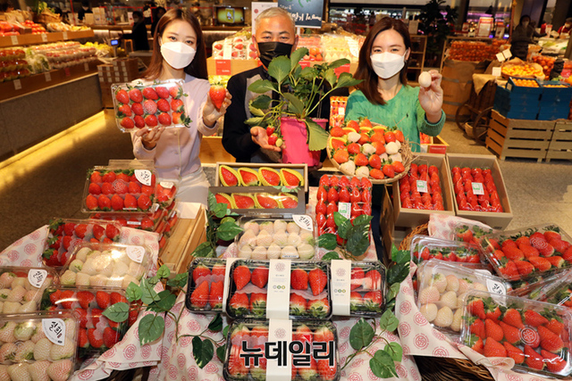 16일 오전 프리미엄 슈퍼마켓 SSG푸드마켓 도곡점에서 우수 딸기 농가 생산자 오세국 농부와 모델들이 '유명산지 프리미엄 딸기 모음전' 행사를 소개하고 있다. ⓒ이마트