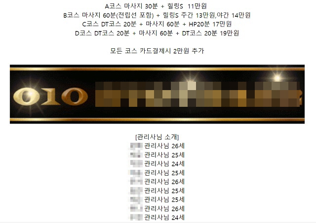 ▲ 이재명 민주당 대선 후보 아들 이씨가 후기를 남긴 곳으로 추정되는 업소의 홍보글. ⓒ온라인 커뮤니티