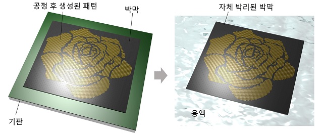 ▲ 반도체 공정 후 박막이 기판으로 부터 자체 박리 돼 분리되는 모습.ⓒ포스텍