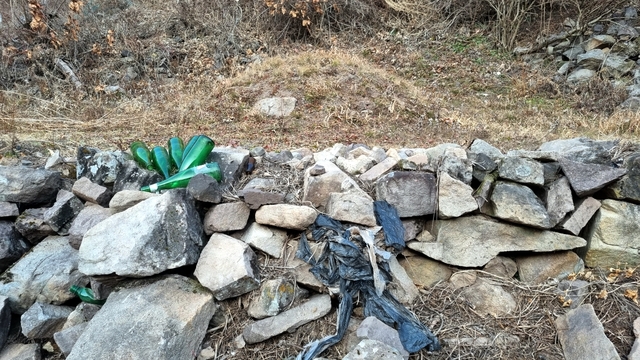 ▲ 경북 안동시 예안면 도촌리 지통마 마을에 있는 이재명 후보 조모의 묘 ⓒ뉴데일리