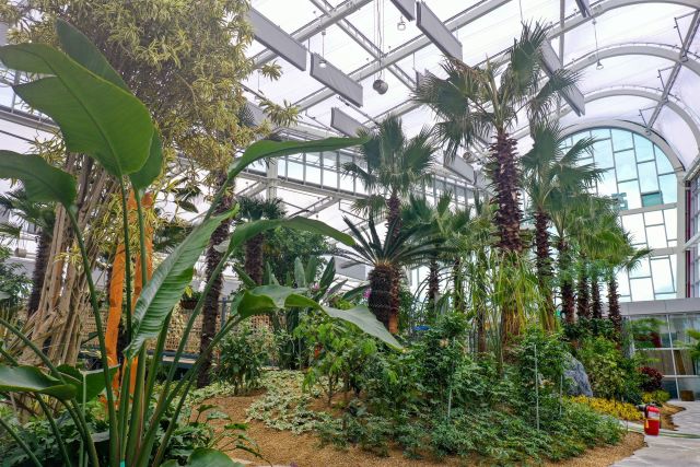 ▲ 레인보우식물원 내부 모습.ⓒ영동군