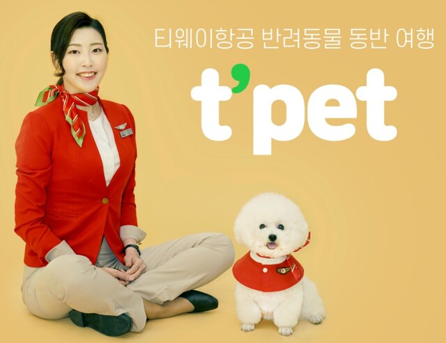 ▲ 티웨이항공 '티펫' ⓒ 티웨이항공