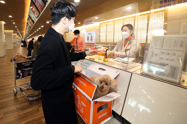 ▲ 반려동물 수속 모습 ⓒ 제주항공