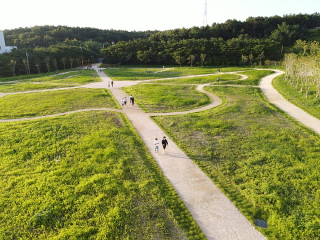 ▲ ‘포항 GreenWay 프로젝트’ 도시숲  전경.ⓒ포항시