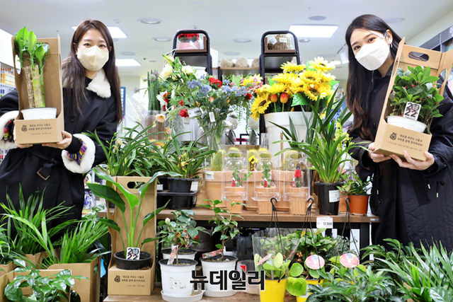 ▲ 4일, 서울 중구 서울역점에서 고객들이 꽃말 좋은 식물을 구경하고 있다. ⓒ롯데쇼핑