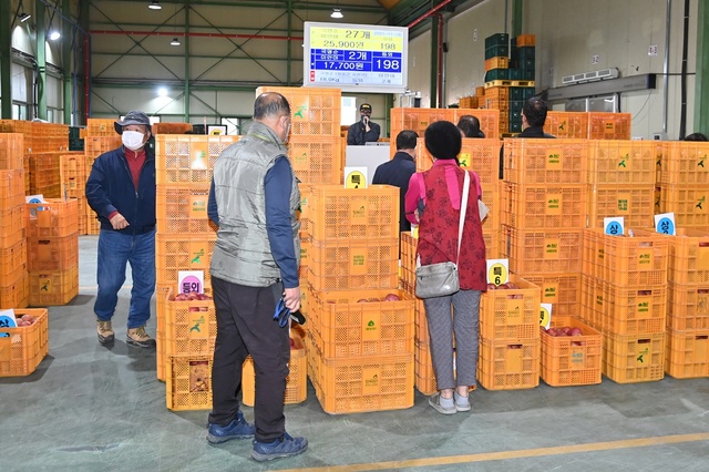 ▲ 청송군(군수 윤경희)은 지난 3일 청송군 농산물공판장의 2022년 첫 경매가 열렸다고 밝혔다.ⓒ청송군
