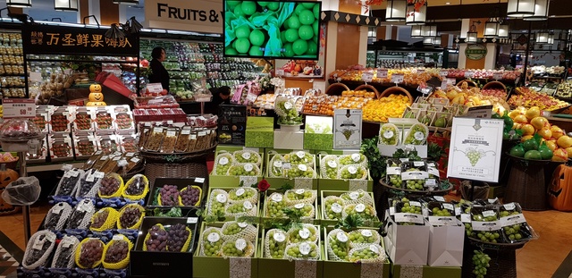 ▲ 비대면 농식품 수출 정책을 추진하고 신품종인 샤인머스캣(포도).ⓒ경북도