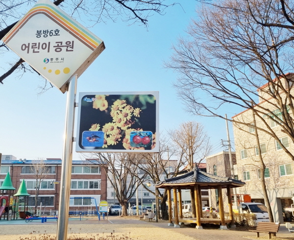 ▲ 충주시가 금주 구역으로 지정한 봉방 6호 어린이공원. 
ⓒ충주시