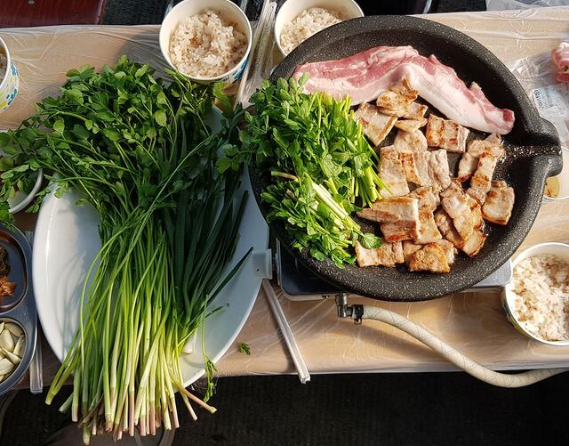 ▲ 팔공산에서 무농약 친환경으로 재배한 청정미나리가 이달 8일부터 본격적으로 출하될 예정이다.ⓒ대구시