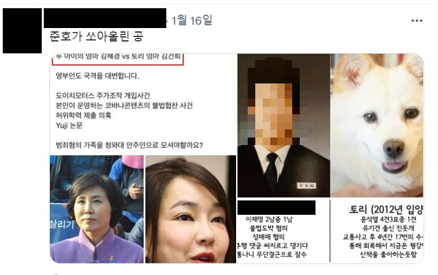 ▲ 친문 성향의 지지자가 지난 16일 SNS를 통해 이재명 더불어민주당 대통령후보의 아들 이씨와 윤석열 국민의힘 대통령후보 부부의 애완견 토리를 비교하는 게시글을 올렸다.ⓒ트위터 캡처