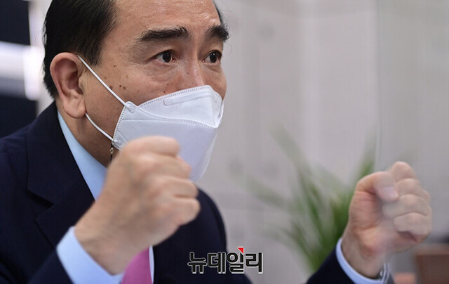 ▲ 태영호 국민의힘 의원. ⓒ뉴데일리 DB.