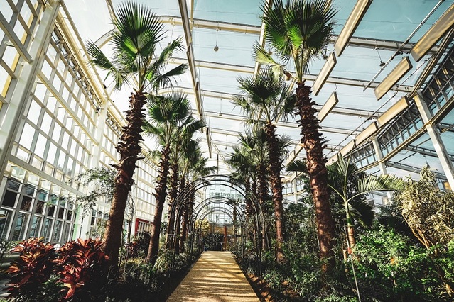 ▲ 충북 영동 레인보우 식물원.ⓒ영동군