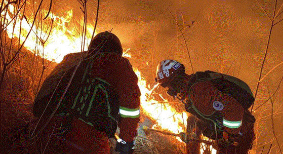 ▲ 산림청 산불 진화인력이 지난 4일 세종시 금남면 신촌리 산 27 비학산에서 발생한 산불을 진화하고 있다.ⓒ산림청