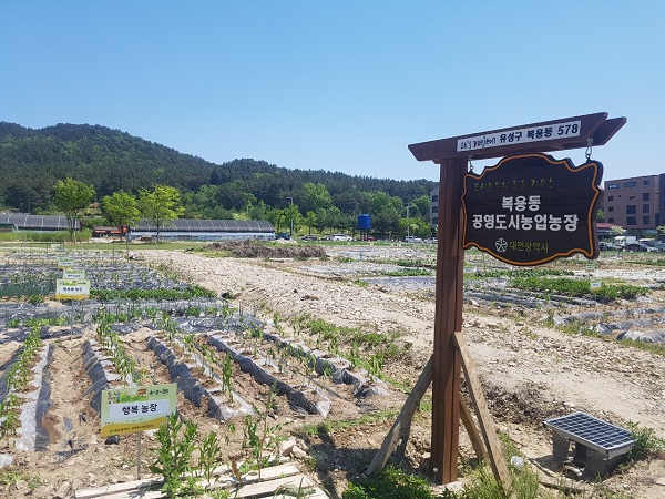 ▲ 도시텃밭인 ‘복용동 공영도시농업농장(유성구 복용동 578번지).ⓒ대전시