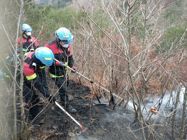▲ 산림청 소속 산불진화대원들이 산불을 진화하고 있다.ⓒ산림청