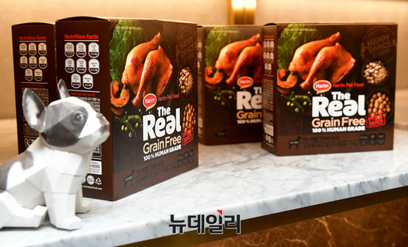 ▲ ⓒ뉴데일리DB