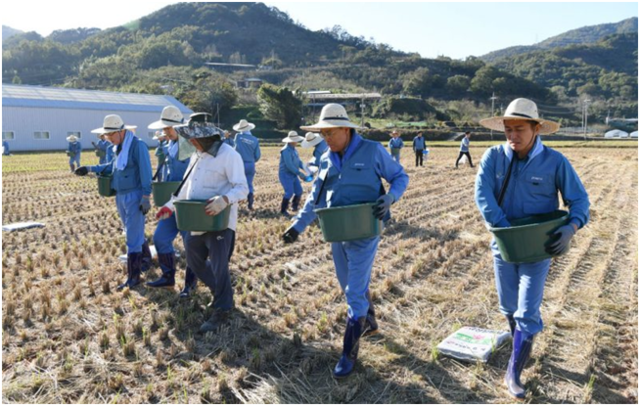 ▲ 최정우 포스코그룹 회장이 직원들과 '규산질비료 뿌리기 봉사활동'을 하는 모습. ⓒ포스코