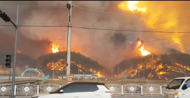 ▲ 4일 경북 울진군 북면 야산에서 난 불이 강풍을 타고 주변으로 확산되고 있다.ⓒ경북소방본부