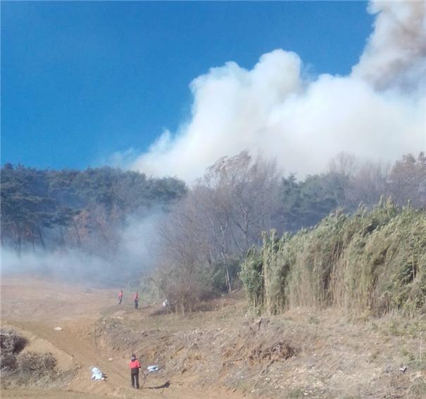 ▲ 충남 당진시 송산면 명산리 산불 현장.ⓒ산림청