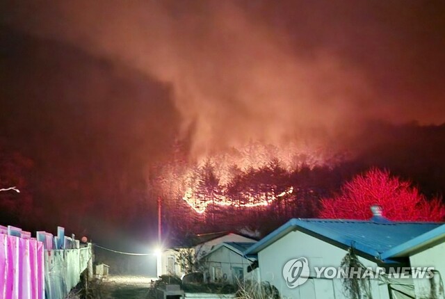 ▲ 삼척에서 발생한 산불 ⓒ연합뉴스