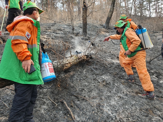 ▲ 경산시(시장 최영조)에서 활동하는 자율방재단(단장 신재현)이 울진 산불 현장에서 피해복구 활동을 실시했다.ⓒ경산시