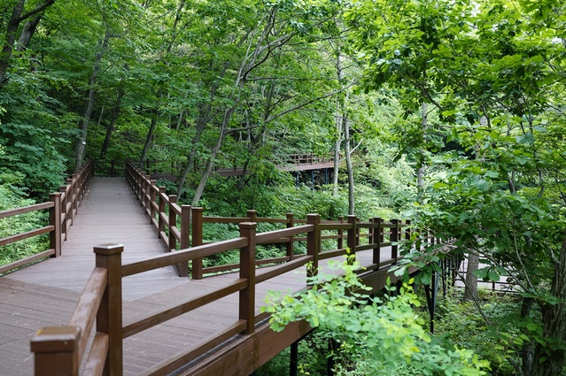 ▲ 경상북도는 문화체육관광부가 주관하는 올해 웰니스관광 클러스터 공모사업에 최종 선정됐다고 밝혔다.ⓒ경북도