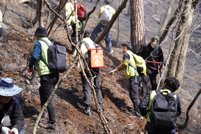 ▲ 경북교육청은 최근 울진에서 발생한 산불로 인해 발생된 학생 및 교직원의 불안 및 스트레스 등 심리적 충격을 완화하고 정신적 회복 위해 심리지원 전문인력을 지원한다고 밝혔다.ⓒ경북교육청