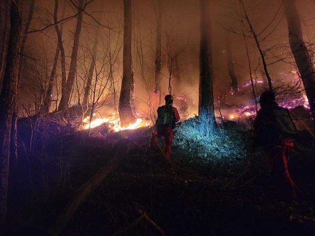 ▲ 산림청 산불특수진화대원들이 야간에 산불을 진화하고 있다.ⓒ산림청