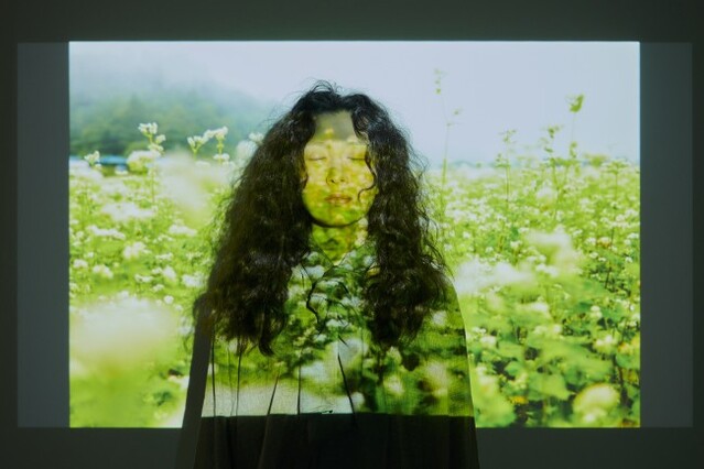 ▲ '금조 이야기' 홍보 이미지.ⓒ국립극단