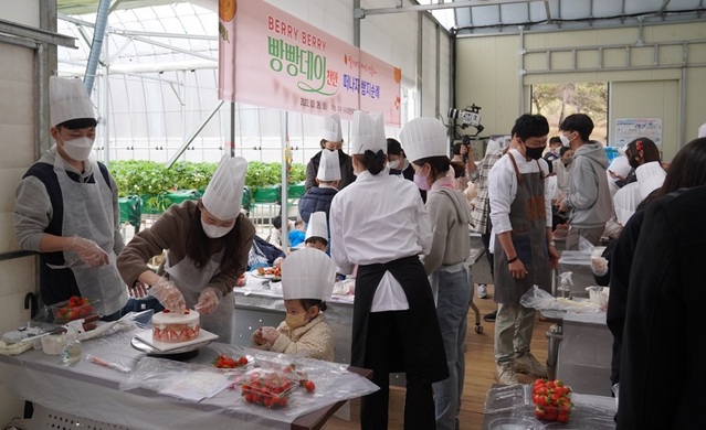 ▲ 충남 천안시가 26일 개최한 빵빵데이_행사에서 가족 단위로 딸기 농가 체험을 한 뒤 케이크를 만들고 있다.ⓒ천안시