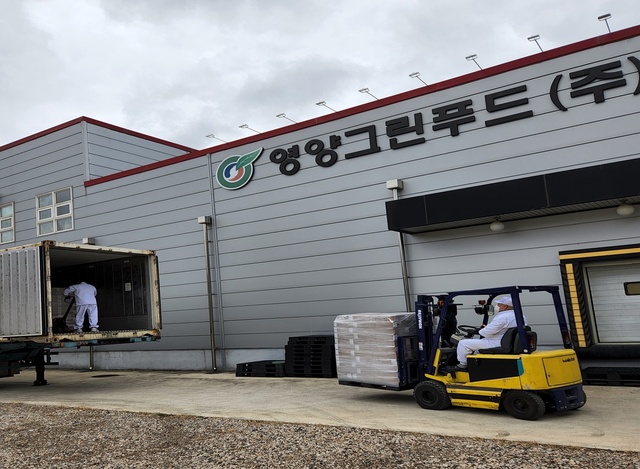 ▲ 영양군 영양고추산업특구 내 입주업체인 영양그린푸드(대표 남호섭)는 지난 31일 폴란드에 김치 4만 5천 불을 수출했다.ⓒ영양군