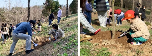 ▲ 세종 베어트리파크가 오는 5일 식목일을 맞아 나무 심기 행사를 하고 있다.ⓒ베어트리파크