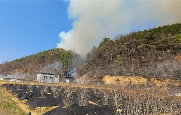 ▲ 세종시 연서면 산불 현장.ⓒ산림청