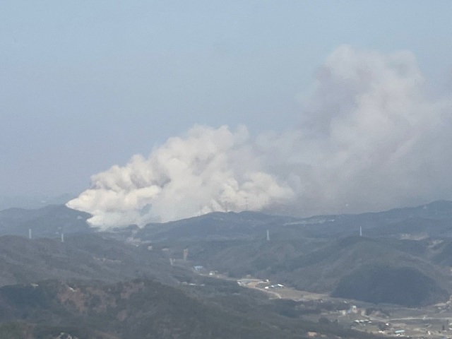 ▲ 충남 서산시 고풍리 산불 현장.ⓒ산림청