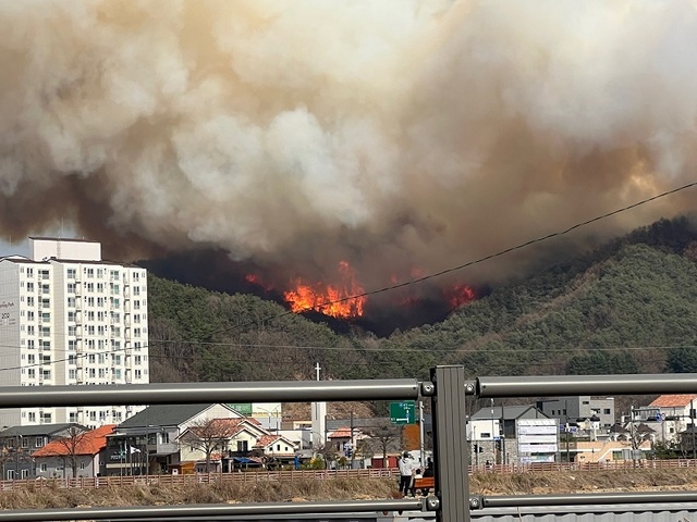 ▲ 강원 양구군 양구읍 송청리 산불 현장.ⓒ산림청