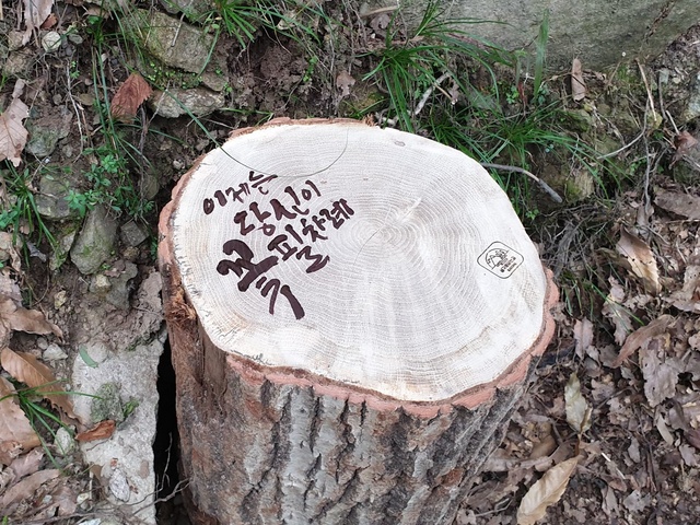 ▲ 대구 수성구(구청장 김대권)는 산책로에 감성과 의미를 불어넣을 수 있는 상징물(통나무의자)을 고산지역 하천 산책로에 100여 개 추가 설치 중이다.ⓒ수성구