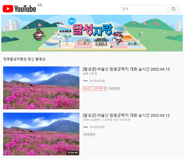 ▲ 달성군(군수 김문오)에서는 비슬산 참꽃이 이번 주말 절정에 이를 것이라 전망하고 온라인으로 감상할 수 있도록 유튜브에서 실시간 중계한다.ⓒ달성군