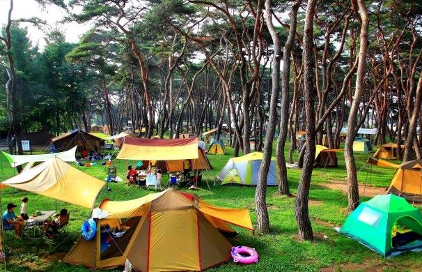 ▲ 영동 송호관광지.ⓒ영동군