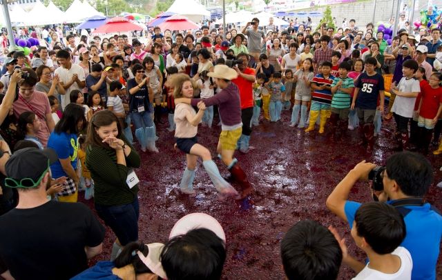 ▲ 영동포도축제의 한 장면.ⓒ영동군