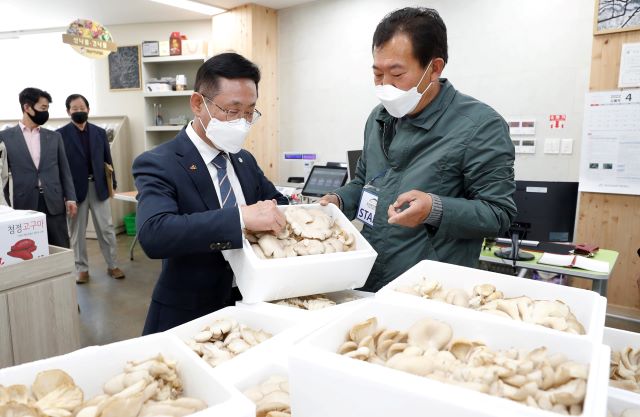 ▲ 이차영 괴산군수가 버섯을 구매하고 있다.ⓒ괴산군