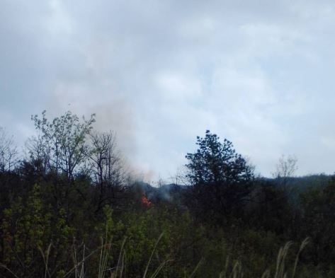 ▲ 22일 서산시 해미면 산수리 산불 현장.ⓒ산림청