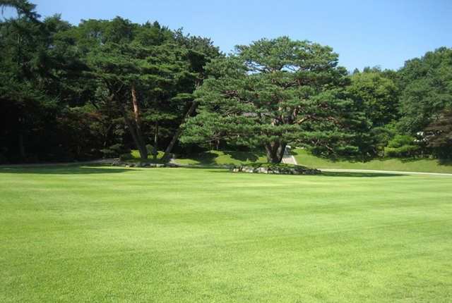 ▲ 청와대에 있는, 최고의 정원이라는 녹지원. ⓒ청와대 제공.