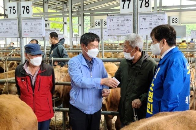 ▲ 노영민 더불어민주당 충북지사 예비후보(오른쪽)가 26일 제천 우시장 경매현장을 찾아 농민들과 대화를 나누고 있다.ⓒ노영민 후보 선거캠프