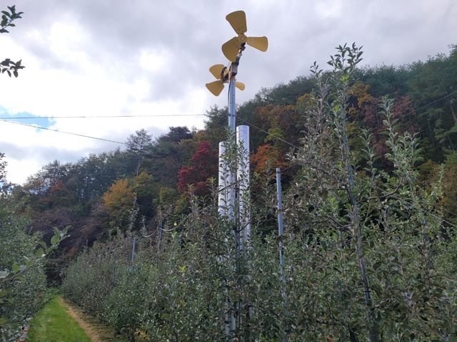 ▲ 영양군농업기술센터는 매년 개화기 이상기후로 인한 냉해·서리피해를 최소화하기 위하여 사과 재배 농가에 열방상팬 설치 보급 시범사업을 추진한다고 27일 밝혔다.ⓒ영양군