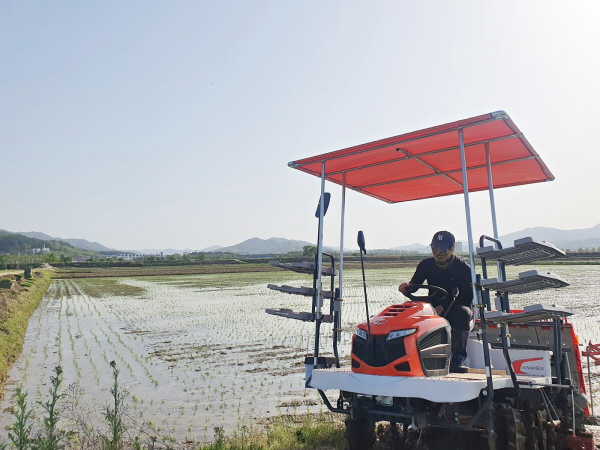 ▲ 충주시는 주덕읍 서승범씨 농가에서 첫모내기를 실시했다고 밝혔다.ⓒ충주시