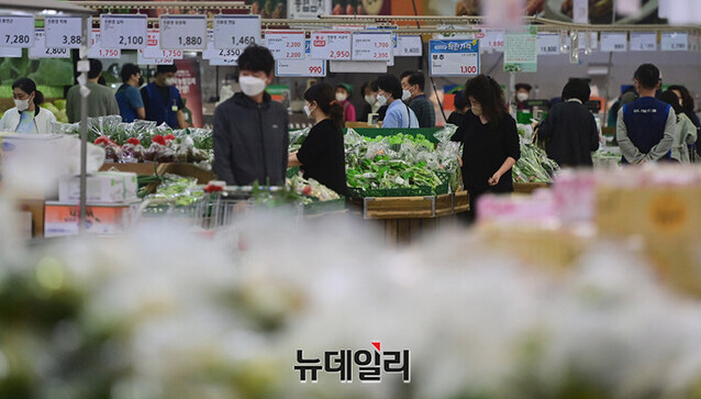 ▲ 서울 시내 대형마트에서 장을 보는 시민들 모습. ⓒ정상윤 기자